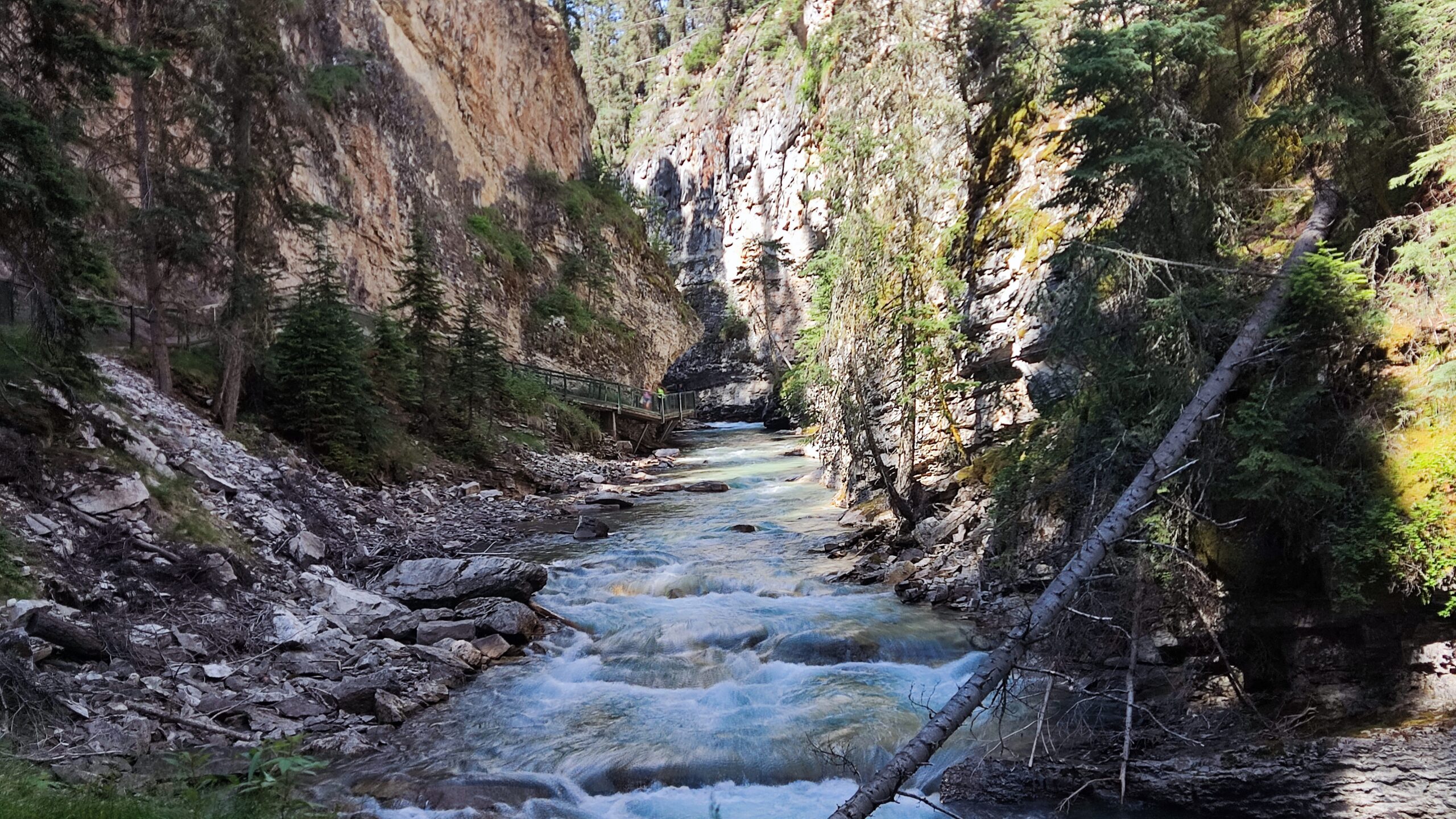 Johnston Canyon